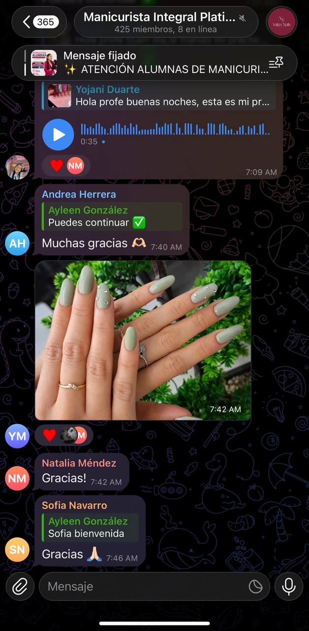 Conversación original de una alumna, captura 6, sin recortes